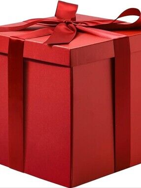 Women's Top Lot of 6 Mystery Gift Box Size Small Brand New Tops